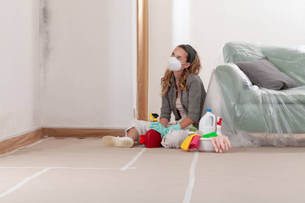 Reliable Mold Remediation contractor in Happy Valley, OR by 24 Hour Mold Removal