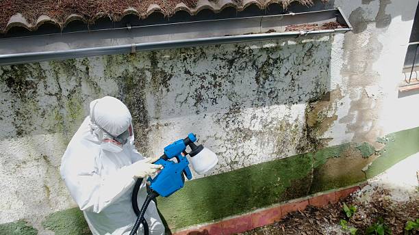 Top rated local Mold Remediation specialists in Happy Valley, OR